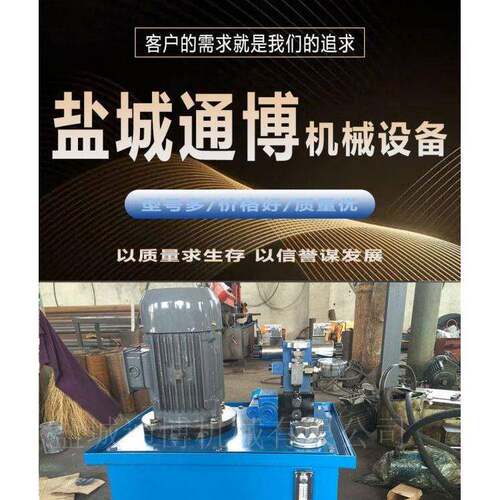 DYTF3000-800一站双缸液压站式分体电液推杆