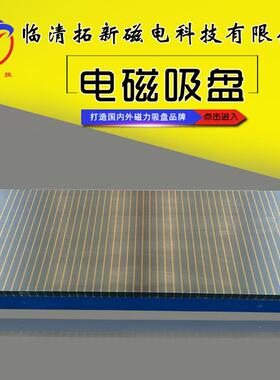 终身维护电磁吸盘X11-200*400矩形标准100N质保一年磨床电磁吸盘