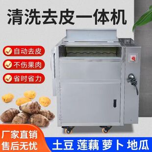 厂家销售毛辊式 清洗脱皮机 果蔬清洗去皮机马蹄土豆芋头去皮机