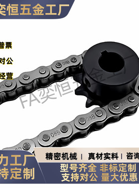 SP40B BSP40B SSP40B9 10 11 12 13 14 15-17-18-N/S  链轮