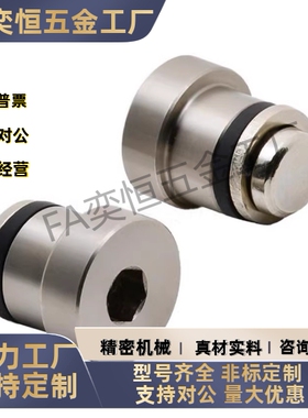 ICE11-T3.5/T5/ICE31-T3/T5//LLT3.5/LLT5/LLTA3/LLTA5导轨偏心销