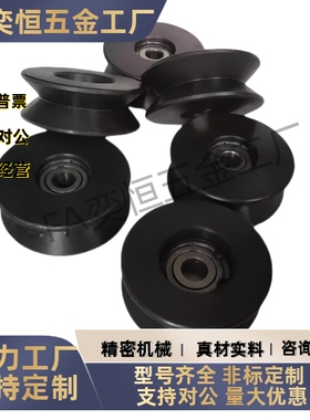 V型导向轮60°/90°滚轮 QBR02/42-D50D60-A5A6-d10d12现货