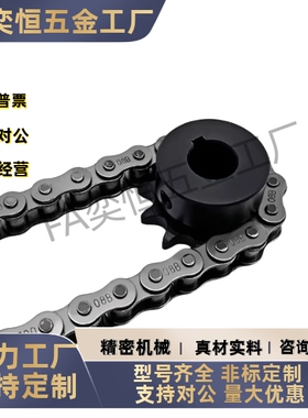 链轮 链条VLK02-60-10 11 12 13 14 15 16-D20 22 25 28 30 35 40