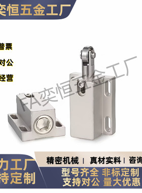 滚轮柱塞轻载重载PKM31/PKM32-d14/d19 带轴承伸缩滚轮弹簧缓冲销