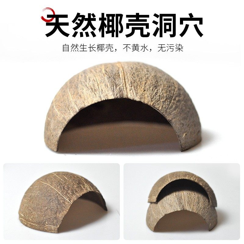 天然椰壳躲避屋鱼虾螃蟹守宫宠物蛇乌龟爬宠蜥蜴蝎子躲避洞穴装饰,宠物/宠物食品及用品,爬宠缸/箱,淘宝优惠券,粉丝福利购,淘宝优惠卷