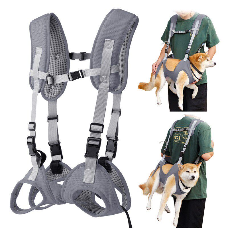 狗狗横背双肩背包小型中型犬泰迪比熊宠物外出胸前包夏天透气猫包图片
