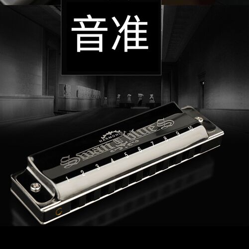 天鹅布鲁斯口琴10孔十孔蓝调男士专业演奏级C调学生初学儿童乐器
