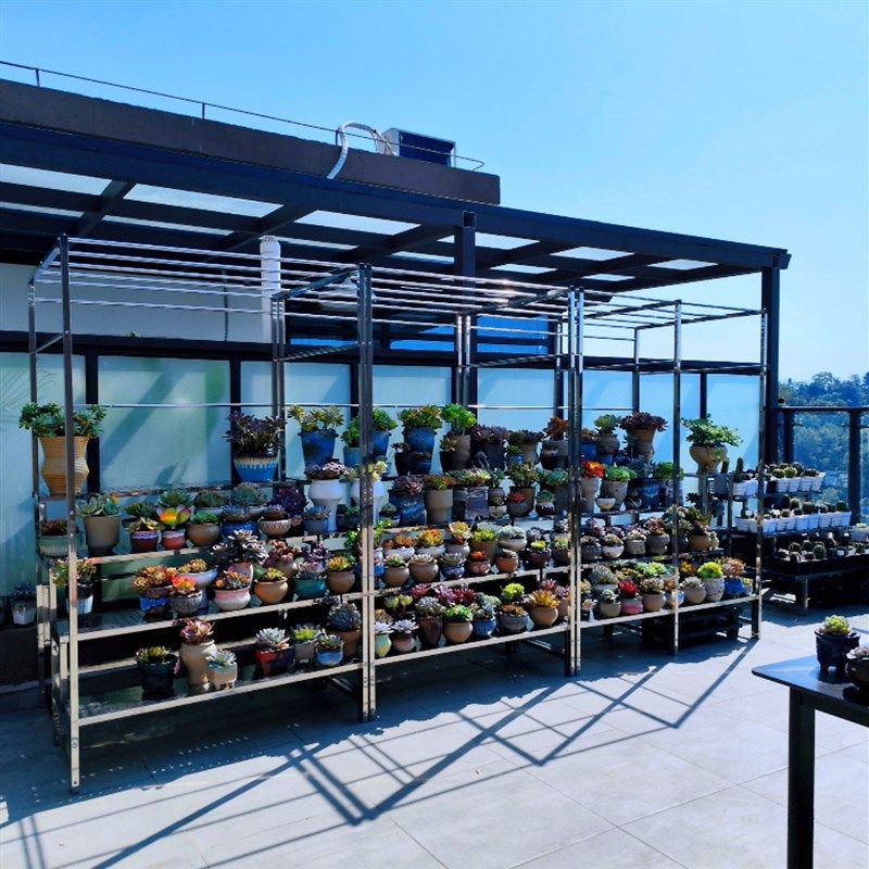 不锈钢花架带雨棚架洞洞板室外露养阶梯式挡雨防晒保温大花盆定做,住宅家具,花架/花几,淘宝优惠券,粉丝福利购,淘宝优惠卷