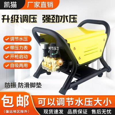 3800W商用强力家用神器220v刷车便携式水枪清洗机高压水泵洗车机