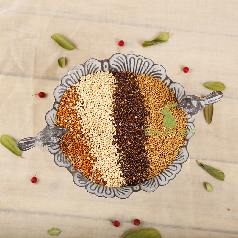 虎皮牡丹玄凤型鹦鹉鸟食饲料四色黍子黑红黄白混合粮米粟谷子包邮