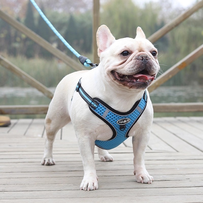 狗狗胸背式牵引绳狗狗拉带法斗遛狗绳子链子中小型犬金毛泰迪用品