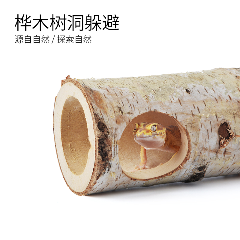 爬宠天然桦木树洞躲避洞穴爬虫箱造景树枝蜥蜴守宫蛇树根摆件装饰
