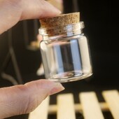 小瓶子矿石头木塞空瓶水晶宝石储存瓶玛瑙 昆虫 包邮 直口玻璃瓶装