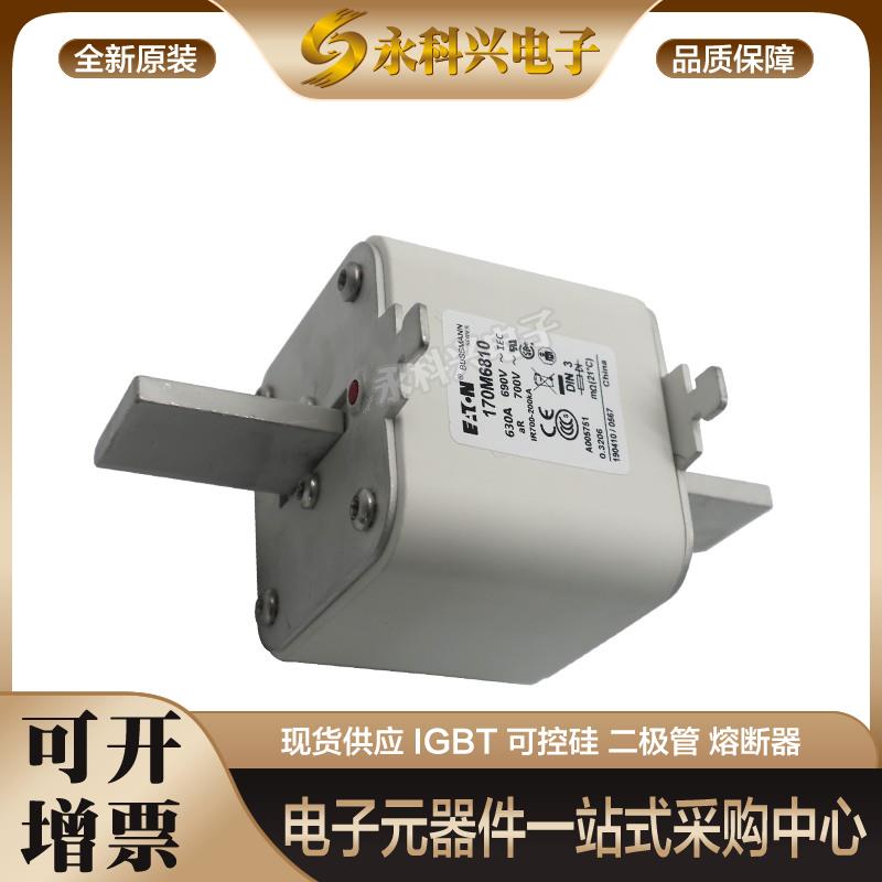 巴斯曼快速熔断器保险170M6067/6068/6069/6070/6071/3258/3259