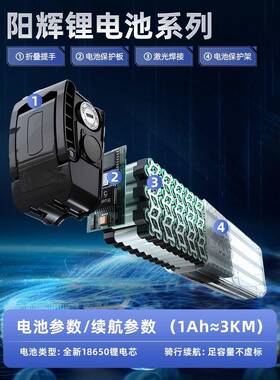 代驾长容折叠电动车锂电池38548v新日自车通用电瓶大行量续航直销