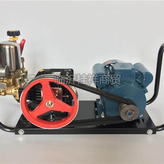 2.2+266泵2配0.2KW电机22V打药泵电2机组合