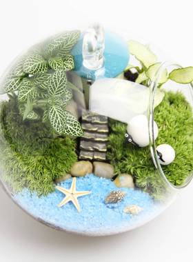 意礼品tz-20181物苔藓微景观套装创生态礼包瓶材料12cm圆底吊瓶