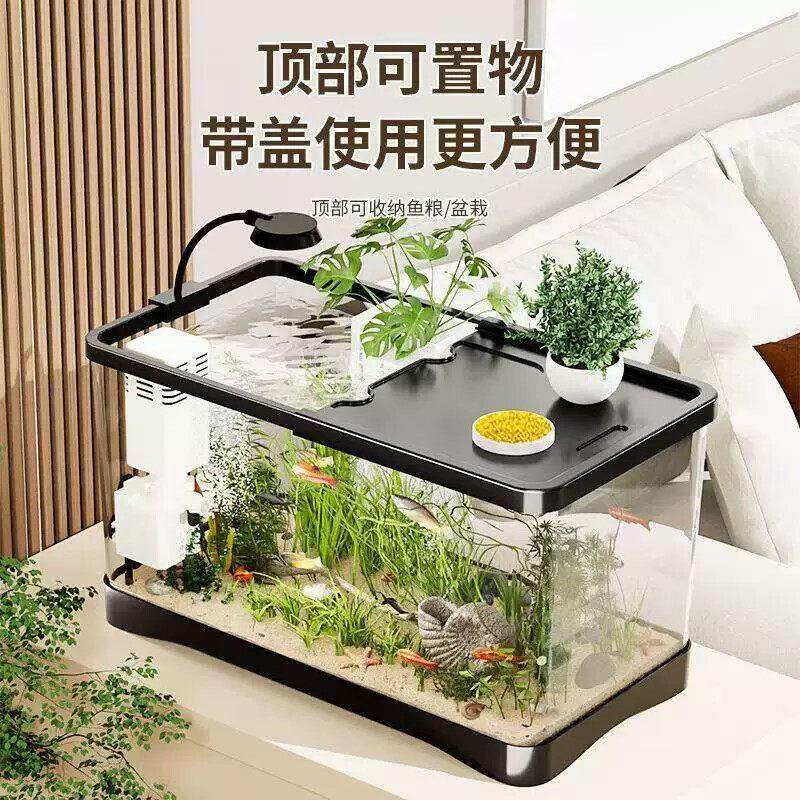 桌面生态鱼缸客厅小型金鱼缸创意亚克力塑料迷你免换水懒人斗鱼缸