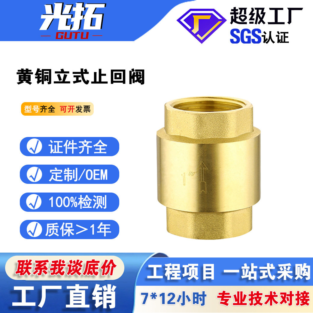 黄铜内螺纹立式单向逆止阀