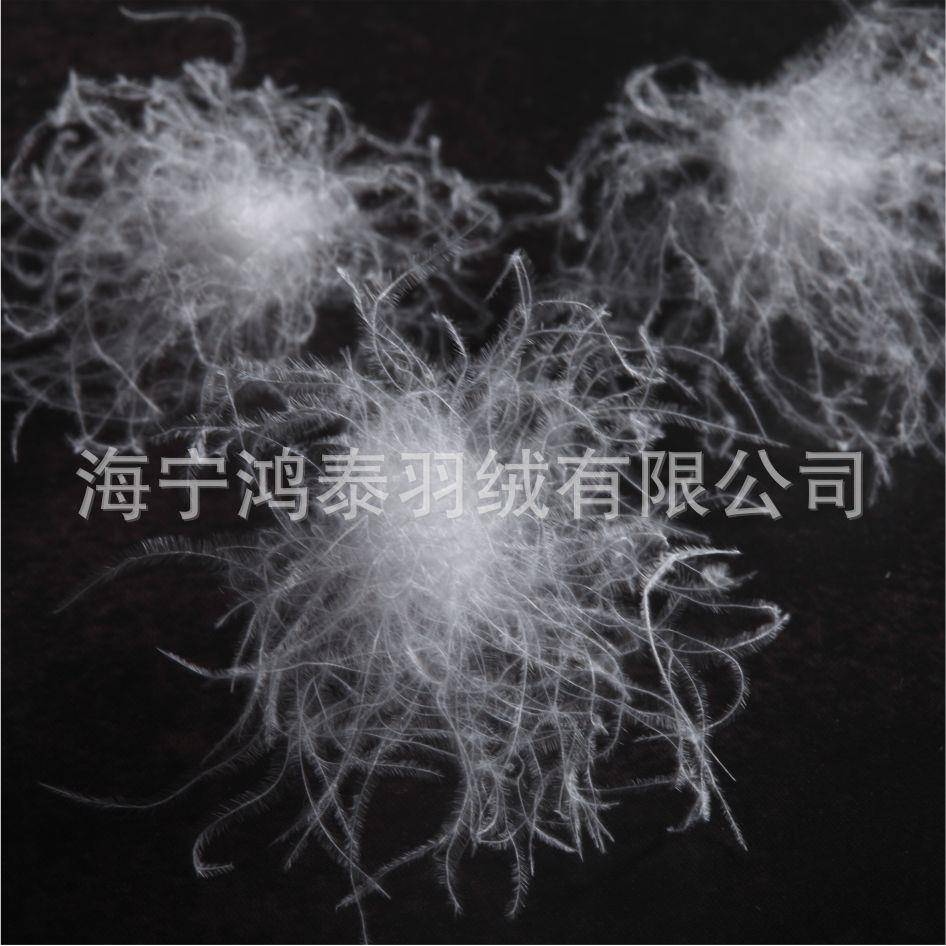 9白鹅绒朵2025水洗羽绒纯白制衣0大TAN填充家物高蓬松厂直销鹅绒