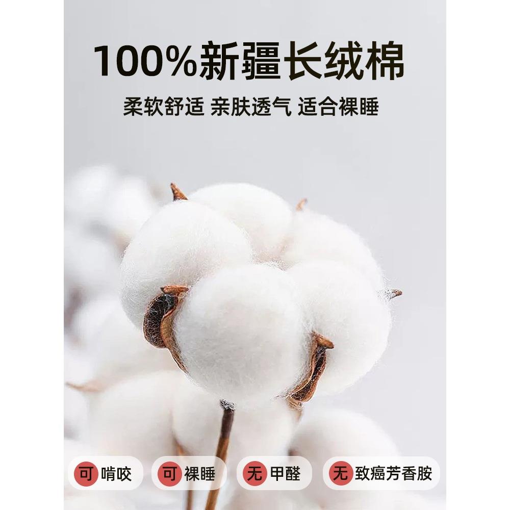 纯笠床单件b#760249100全棉床罩225新棉款床垫保护0儿童男孩床单