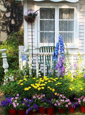 约铁线网爬21454藤小形藤蔓简植架架物攀爬，铁线格子庭院装饰铁