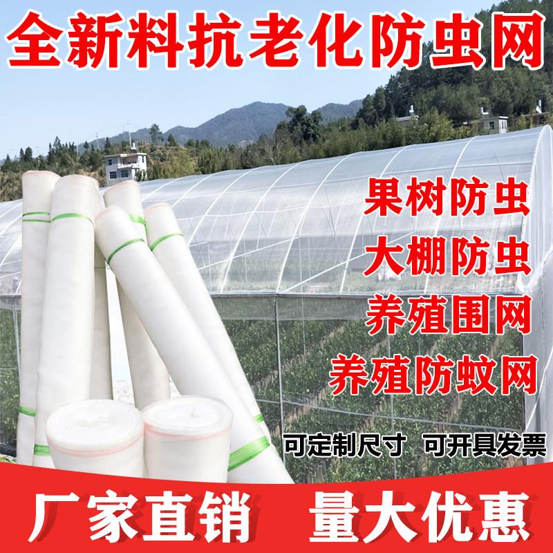 防虫网大棚专用蔬菜加厚60目农用尼龙养殖场防蚊网纱果树防虫网罩
