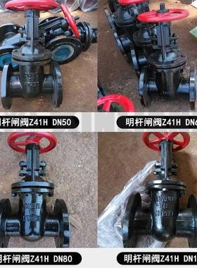 厂家货源闸阀铸钢手闸阀558闸法兰国标闸阀动污水阀Z41H1-0100125