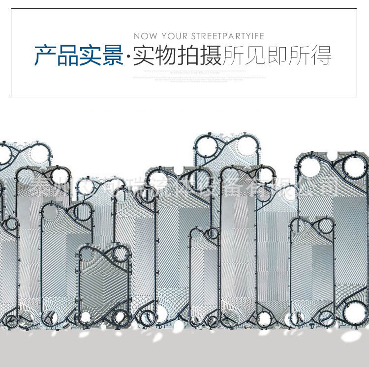 替换派斯特BP250-BHV/BHW板片
