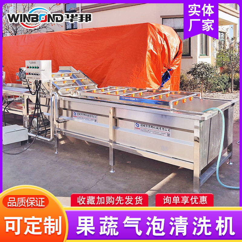 大型果蔬气泡清洗流水线