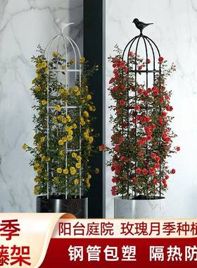 ttb-6391花月架爬藤架季蔷藤薇玫瑰阳台物架花园花柱园艺架植子攀