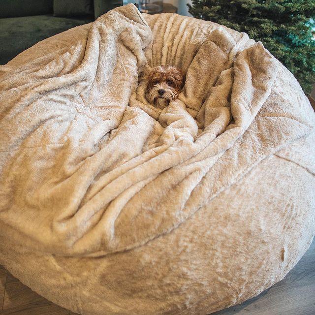 袋人沙发豆xxl包人造热毛皮海绵包亚马逊豆跨境销5FT懒6FT7FT沙发