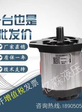 意大利进口赛特玛SETTIMA螺杆泵G47C050FSBT130D花键平键齿轮油泵