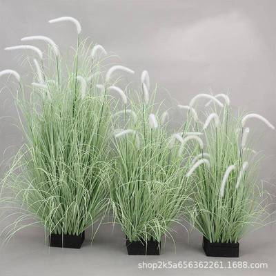 仿绿003植狗真尾巴草落地商橱店草堆室内假绿植窗装饰造景婚庆