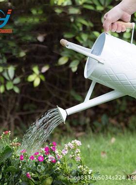 厂家园林浇水壶大量SCE5L壶金容属喷壶水带木柄室内外喷洒壶