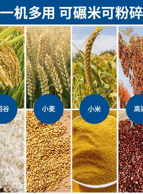 打米脱机用小型大米去虫处理稻谷壳剥谷机ZFD粉碎动机碾米家机振