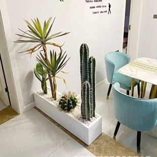 厂家直销泥花盆长方形长条花马马槽槽水阳户外花台箱隔断镁泥盆