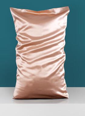 22姆米亮4面料双面蚕真ZSZT-03丝枕100桑丝单个睡眠枕套头套7x48c