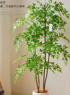 南天绿轻奢盆栽室内客厅大型落F878JJH7植地饰仿生假装植竹物造景