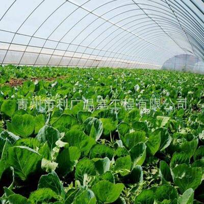 SHO供应棚蔬菜齐暖棚钢架连体大棚遮阳网大棚管大配件全