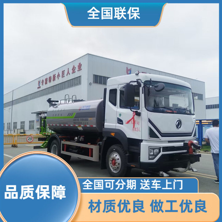 国六东风多利卡D9 60型工地环保抑尘雾炮车 多功能绿化洒水车