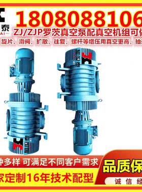 泰州抽真空泵JJBV型罗茨UFA水环空机组Z罗泵茨真空泵真真空设备