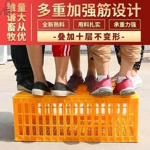 URX周转筐家用鸡笼大禽防摔号家兔转箱加周厚笼子运输鸡鸭塑料养
