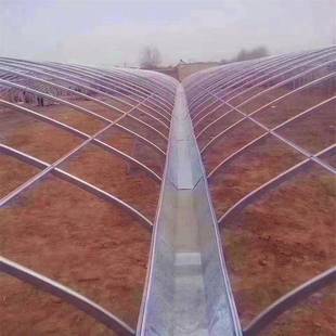 温室大棚管Q1956分 60大棚骨架镀锌椭圆管 2.0蔬菜大棚管30