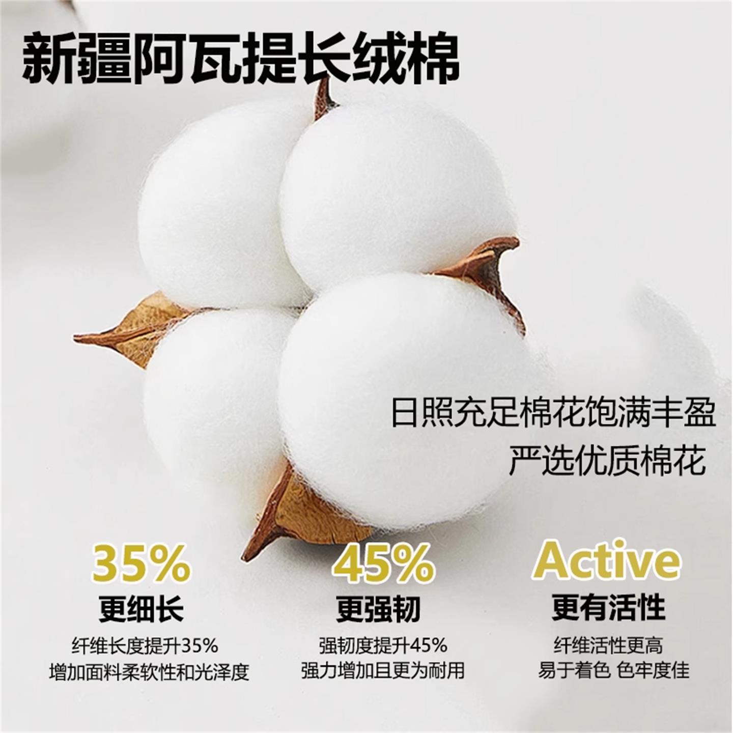 a通类新疆棉ZMB01花被四季用被子合一拉二子链母被空调被单人棉被