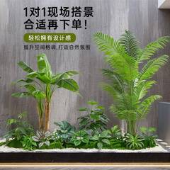 仿真景植盆栽植造景室内装饰摆件物搭配场YJ-00159景橱窗商场内观