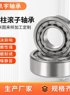 压路机用圆柱滚子轴承J10201MNJN1022NSOEJ024MNJ1026MMNJ1028M