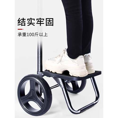 菜车小拉车布袋轻年人大轮可坐拉杆轮子手推车买老网红便携F9755H