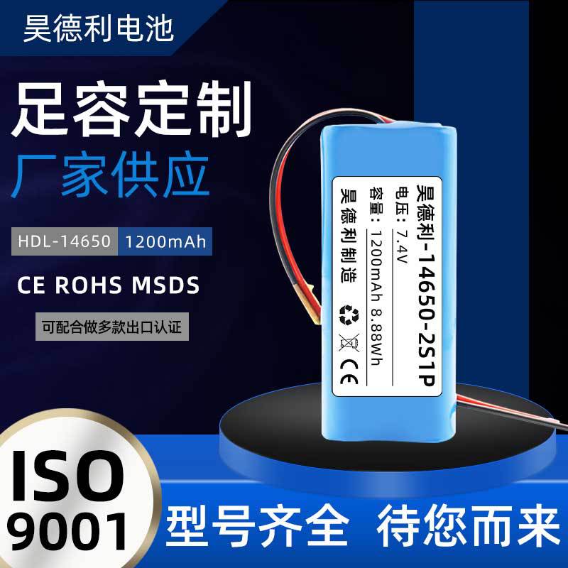 1200mAh-2S1P加板出端子带陶瓷温控开关网络信号接收器电池 14650