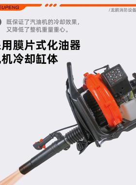 厂家背式力风风灭火机便携悬挂式负森03150水防灭火机低油耗